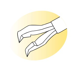 SV-11503-3 Vitreoretinal Forceps