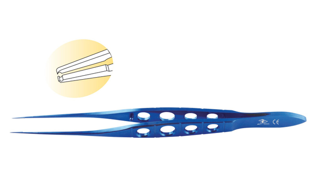 Hoskins / Notched Forceps