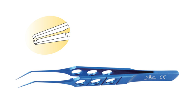 Hoskins / Notched Forceps