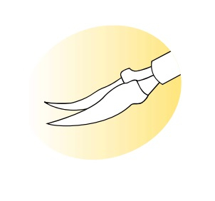 SV-13153-1 Vitreoretinal Scissors