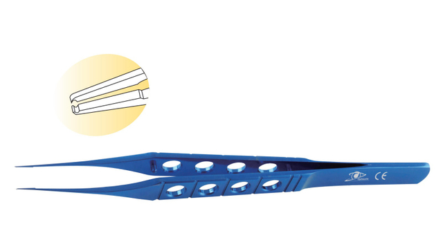 TF-11071-1 Hoskins / Notched Forceps