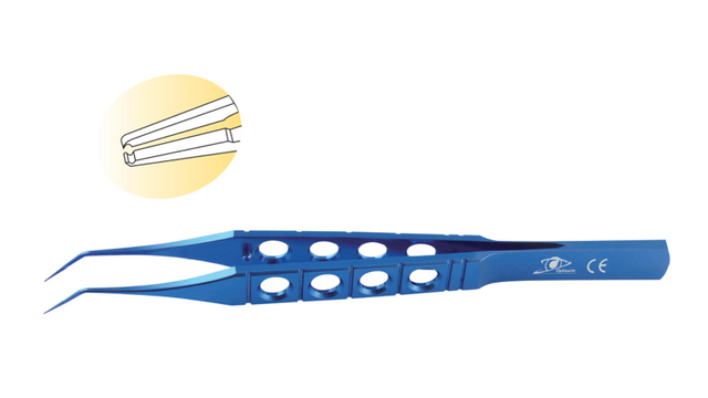 Hoskins / Notched Forceps