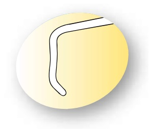 SB-14175-1 Chavasse Hook