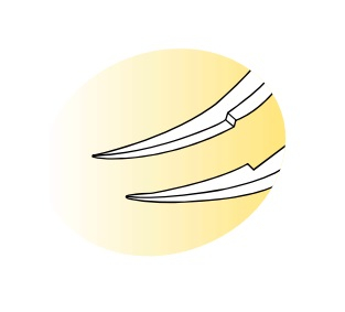 SF-11018-6 Tying Forceps