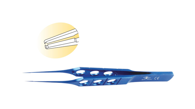 Hoskins / Notched Forceps