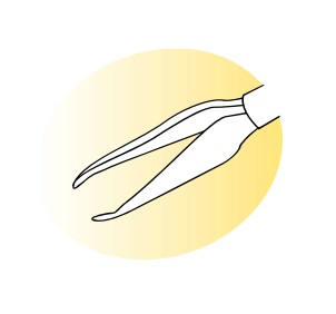 SV-11509-1 Vitreoretinal Forceps