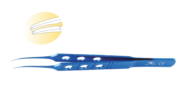 Hoskins / Notched Forceps