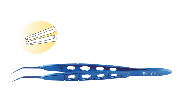 Hoskins / Notched Forceps