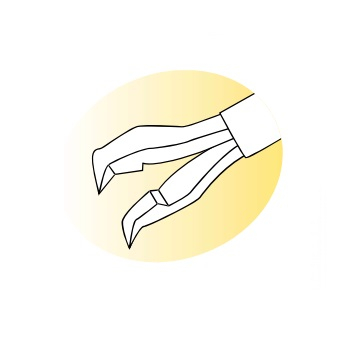 TV-11503-1 Vitreoretinal Forceps 