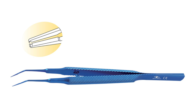 Hoskins / Notched Forceps